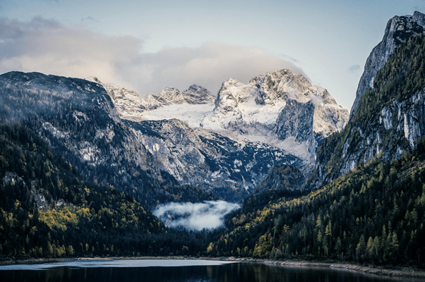 Vienna’s Water and the Essence of Authentic Data: Why Measured Metrics Quench Sustainability’s Thirst